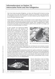 Bei meinunterricht kannst du entsprechendes unterrichtsmaterial kostenlos herunterladen. Sekundarstufe Unterrichtsmaterial Biologie Tiere