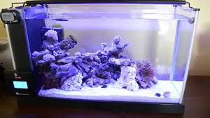 Fluval Spec Reef Reef Aquarium Nano Reef Tank Reef
