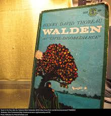 Image result for Thoreau at 200