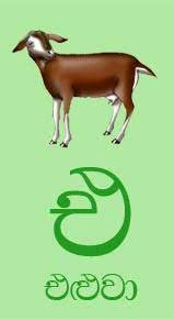 Any responsibility to be assigned to someone else should be accomplished as you have the responsibility to comply with. Sinhala Alphabet With Pictures Free Download 12 Letters Sigma Kids