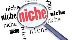Niche- How to chose One