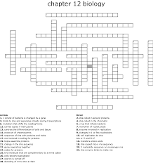 Answer key biology 1 from dna to proteins c. From Dna To Proteins Crossword Wordmint