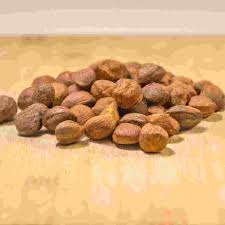 Image result for Canarium