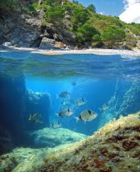 Snorkeling The Medes Islands In Estartit In Spain Playas Hermosas Playa Vida