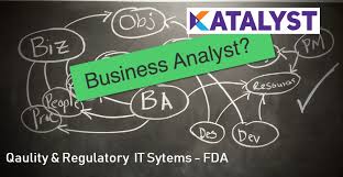 Responsible For Alignment Of It Solutions To Business Strategies To Ensure Realization Of The Desired End State In Support Of Business Analyst Analyst Business