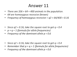 I know that this is 0.2 for the s allele (q in the hardy weinberg equation) and 0.8 for the a allele (p in the hardy weinberg equation). Hardy Weinberg Ppt Video Online Download