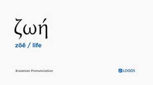 Thank you for helping build the largest language community on the. I Ytimg Com Vi Fknp681tvke Mqdefault Jpg