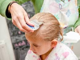 First, review the list of head lice symptoms above and ask yourself if you've experienced any of those recently as well. 7 Common Lice Symptoms Do You Have Lice