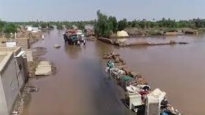 بعد إقامة الهياكل وإضافة الأسمدة المقررة لكل بيت، يجرى تعقيم لتربة البيوت البلاستيكية التي تعتبر أهم عملية زراعية في القضاء على الآفات الضارة الموجودة في التربة، وتنفذ العملية بعدة طرق منها Ø¹ÙˆØ¯Ø© Ø§Ù„ÙÙ†Ø§Ù† Ù…Ø­Ù…Ø¯ Ø§Ù„Ù†ØµØ±ÙŠ Ù„Ù„ØºÙ†Ø§Ø¡ Ø¨Ø¹Ø¯ Ø¥Ø¹ØªØ²Ø§Ù„Ù‡ ØµØ­ÙŠÙØ© Ø§Ù„Ø±Ø§ÙƒÙˆØ¨Ø©