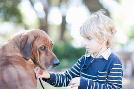 Pin On Cats And Dogs