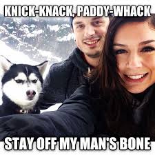 Jealous Husky Know Your Meme