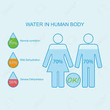 water in human body levels of dehydration water content charts