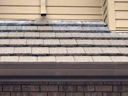 (photo courtesy of angie's list member robert dudley. What Is The White Streaking On This Tile Roof Roof Cleaning Pressure Washing Resource