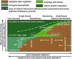 Modeling The Interactions Between River Morphodynamics And Riparian Vegetation Camporeale 2013 Reviews Of Geophysics Wiley Online Library