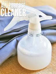 Obviously, you want to be sure to use only safe cleaners for your counters and appliances, but some. Diy All Purpose Cleaner No Vinegar Don T Waste The Crumbs