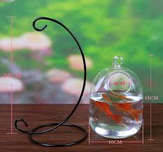 Just as with any other fish. Mrosaa Hot Sale Glass Hanging Aquarium Fish Tank Bowl Flower Plant Vase Table Fish Bowl Height 15cm For Betta Fish Pet Supplies Aquariums Tanks Aliexpress