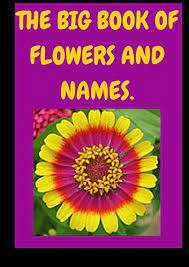 J.s.h., the language of flowers, london, 1875. Flowers And Names Flowers Types Names And Pictures Kindle Edition By Rose Willow Crafts Hobbies Home Kindle Ebooks Amazon Com