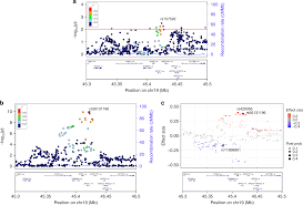 non coding variability at the apoe locus contributes to the