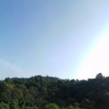 Maybe you would like to learn more about one of these? Hutan Simpan Ayer Hitam 15 Tips From 876 Visitors