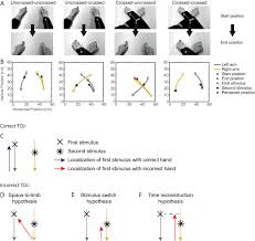 External Location Of Touch Is Constructed Post Hoc Based On Limb Choice Elife