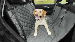 I know harley looks forward to our quarterly road trips down the coast! 52 Perfect Gifts For Dog Lovers And Owners