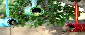 Resultado de imagem para Jardins com pássaros