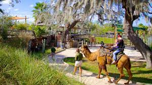 In 2009, lowry park zoo was voted the #1 family friendly zoo in the us by parents magazine, and is. Zootampa At Lowry Park Tampa Vacation Rentals House Rentals More Vrbo