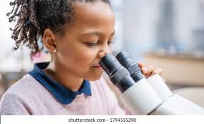 4+ Thousand Stem Under Microscope Royalty-Free Images, Stock Photos &  Pictures