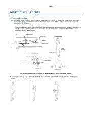 Anatomical practical worksheet-2 1 1 .doc