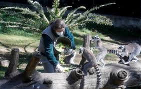 5 ways the coronavirus is affecting animals | World Economic Forum