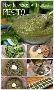 Pesto How To Make It And Freeze It Recipe Pesto Recipe Pesto Freezing Pesto