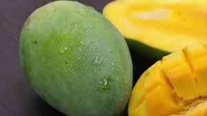 Raretv terkejut sawah padi cantik di perlis tempat terbaik malaysia. Bibit Mangga Harumanis Harga Murah Merdeso Com