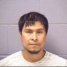 Prosecutor: Joliet man sexually assaulted joggers