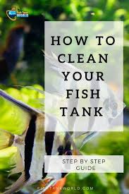 The Complete Guide To Cleaning Your Fish Tank With New Tips For 2019 Fish Tank Cleaning Cleaning Fish Fish Tank Plants