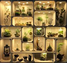 Green Design Factory Kokedama Wabikusa Terrarium Terrariumdreams Airplant Moss Dragonstone Iwagumi Paludarium Gdf Gr Terraria Terrarium Sukulent