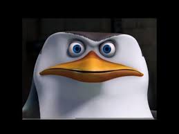 This hd wallpaper is about penguins of madagascar, skipper, kowalski, penguins, 2014, original wallpaper dimensions is 1600x1200px, file size is 109.79kb. The Penguins Of Madagascar Tv Series 2008 2015 Imdb