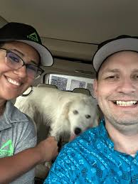 Helping a lost pet return home