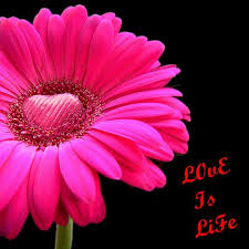 Masukkan nama lagu ke kotak pencarian untuk cari lagu yang anda inginkan. Ljjr Lycee Jean Joseph Rabearivelo No Nudge Pages Directory