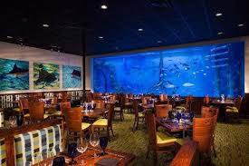 Whether you need a margarita or a gyro, visit us and feel right at home! Guy Harvey S Rumfish Grill Bar Is One Of The Best Restaurants In St Petersburg Clearwater
