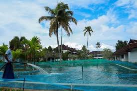 Sedih Kolam Renang Resor Mewah Berubah Jadi Kolam Ikan