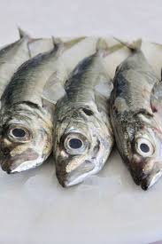 Print Of Mackerel In 2020 Mackerel Poster Prints Poster Size Prints