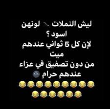 Desertrose ههههه Fun Quotes Funny Funny Study Quotes Funny Arabic Quotes