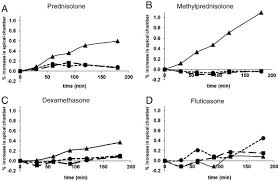 Inhaled Steroid To Prednisone Conversion Chart