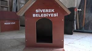 Sokak Kedileri Icin Sicak Evler Kuruldu Sanliurfa