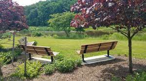 Cluster Of Benches With Shade And A View Of The Water Picture Of Skillman Park Tripadvisor