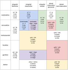 Understanding Polish Adjectives