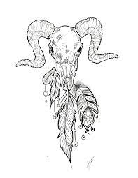 Love The Feathers Animal Skull Tattoos Animal Skull Drawing Animal Tattoos