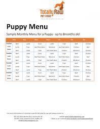 puppy menu for website dog food delivery feeding puppy