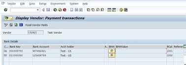 Details which you might be asked to provide the sender for international transfers may include the always double check the details: Updating Bank Details For Shared Vendors In Sap Sap Blogs