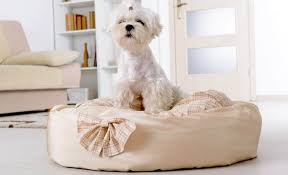 Check spelling or type a new query. 6 Best Luxury Dog Beds 2021 Reviews Only The Best For Your Buddy